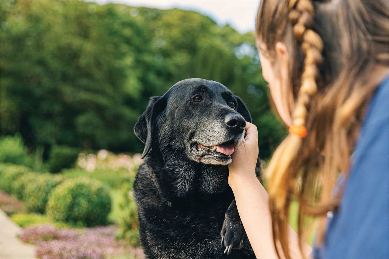 Woman petting black dog