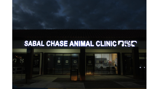 Sabal Chase Animal Clinic entrance