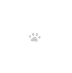 Paws Plaza