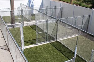 Outdoor dog kennels with chain-link fencing and artificial grass flooring under sunlight.