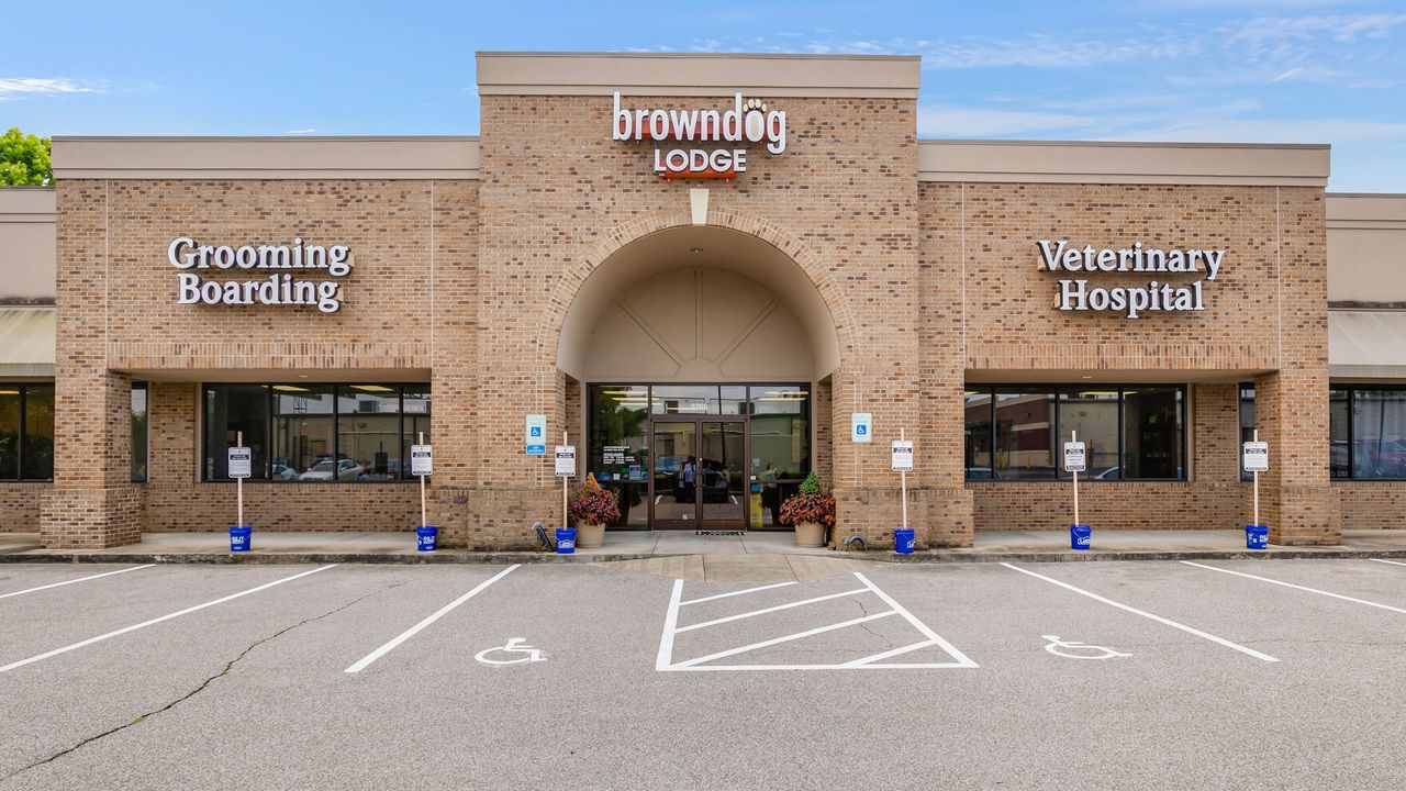Brown Dog Vet Location