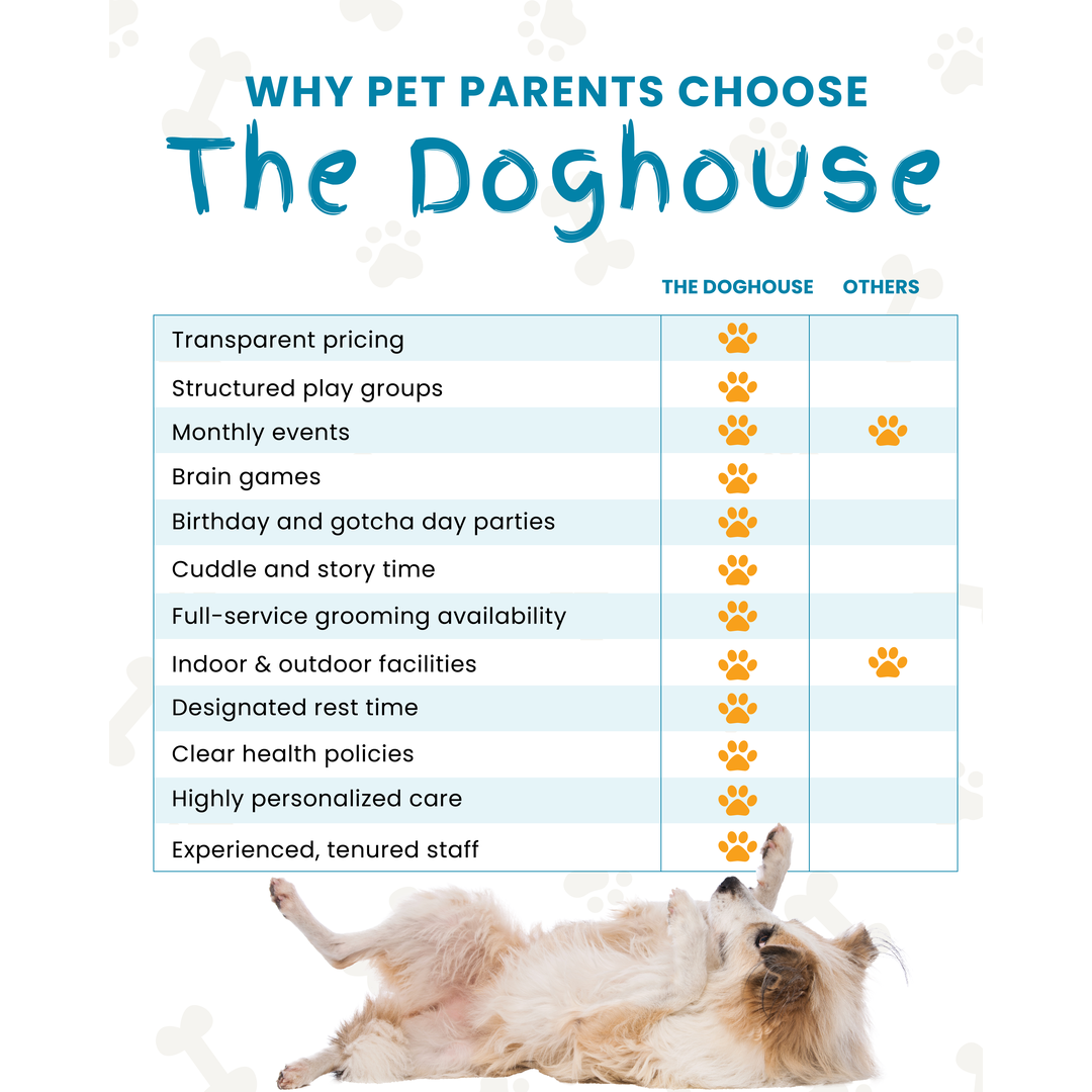 A comparison chart titled "Why Pet Parents Choose The Doghouse" listing various pet care services. The Doghouse is shown to offer transparent pricing, structured play groups, monthly events, brain games, birthday and gotcha day parties, cuddle and story time, full-service grooming availability, indoor and outdoor facilities, designated rest time, clear health policies, highly personalized care, and experienced, tenured staff. Other providers are shown to only offer monthly events and indoor and outdoor facilities. A dog lying on its back is pictured at the bottom
