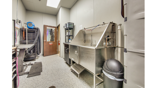 A bright dog grooming room featuring a stainless steel wash tub with steps on the right, and a black wire dog crate equipped with a blue high-velocity dryer on the left. The room has light speckled flooring, white walls, and a closed dark wooden door in the background
