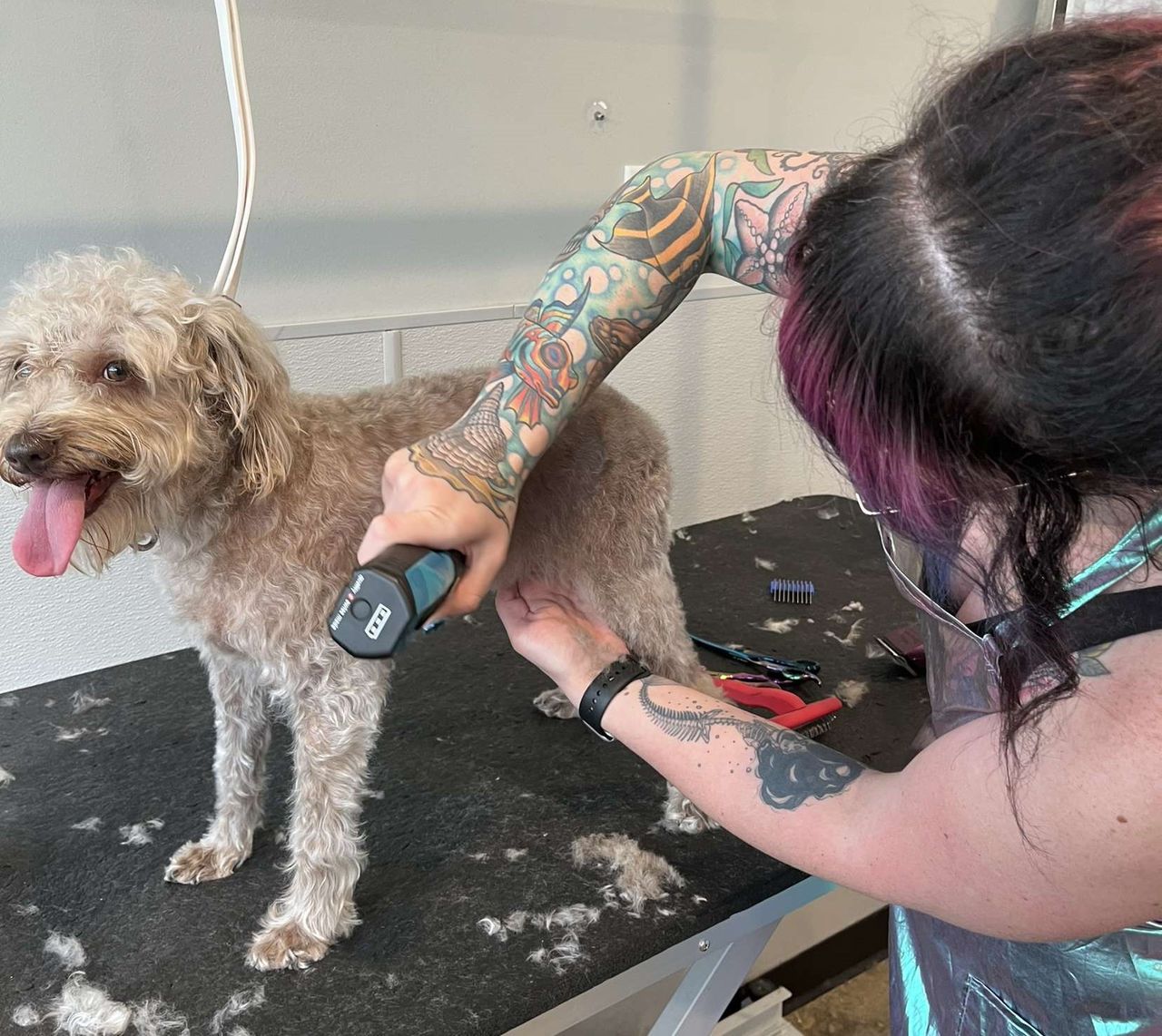 A dog groomer with colorful arm tattoos and purple-streaked hair trims a small, fluffy, light brown dog on a grooming table using electric clippers. The dog stands patiently with its tongue out while loose fur and grooming tools clutter the table's dark surface