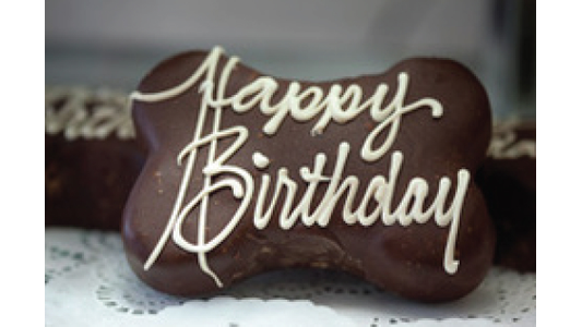 Happy birthday treat
