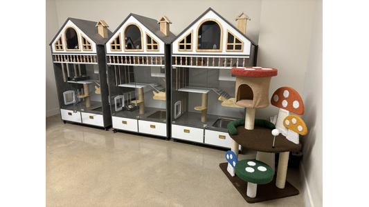 Row of luxury cat boarding condos with glass doors and multi-level perches next to a mushroom-themed cat tree