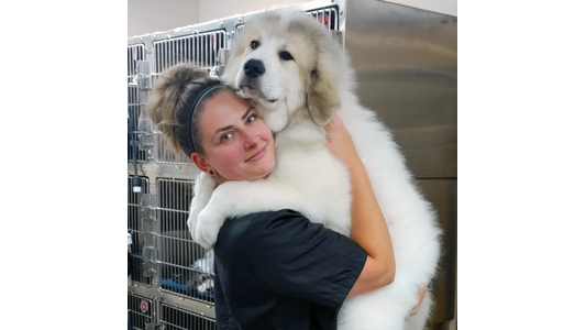 Brandi Holding Big White Dog