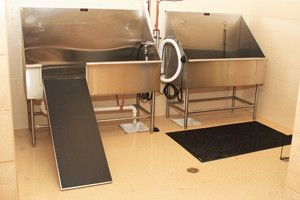 Clean, professional dog wash stations with walk-up ramp access