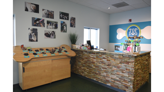 Top Dog Retreat entrance and reception area