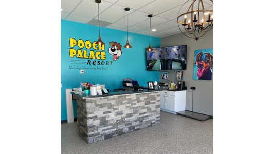 Pooch Palace lobby welcomes our pet friends and family