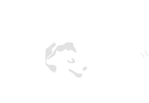 Happy Tails