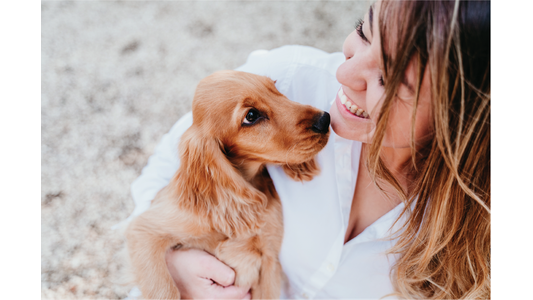 Puppy engaging with a staff member 