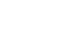 Bark Hotel for Dogs