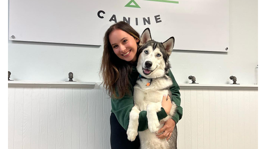 Female Staff member with a husky