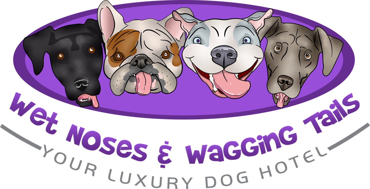Logo for Wet Noses & Wagging Tails Your Luxury Dog Hotel,