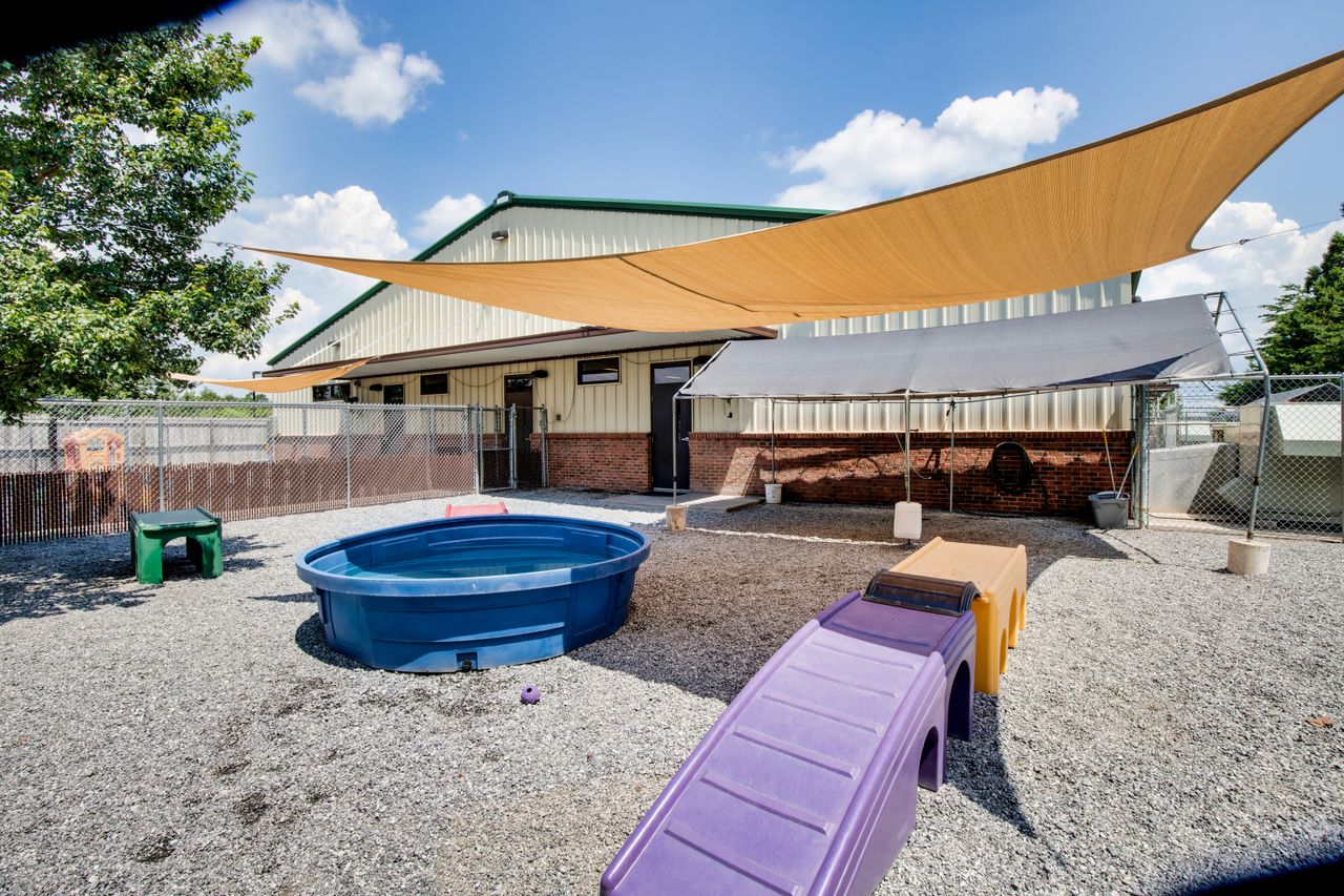 Outdoor dog daycare play area with a splash pool and agility equipment