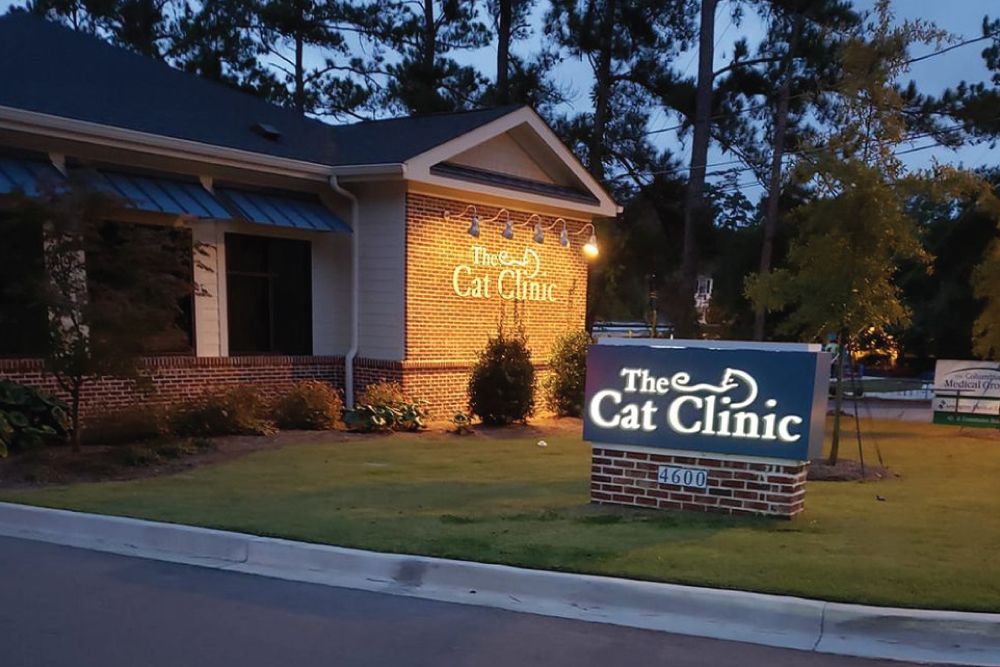 Exterior of "The Cat Clinic" building dusk, featuring illuminated signage on a brick wall and a matching lit entrance sign in Columbia, SC