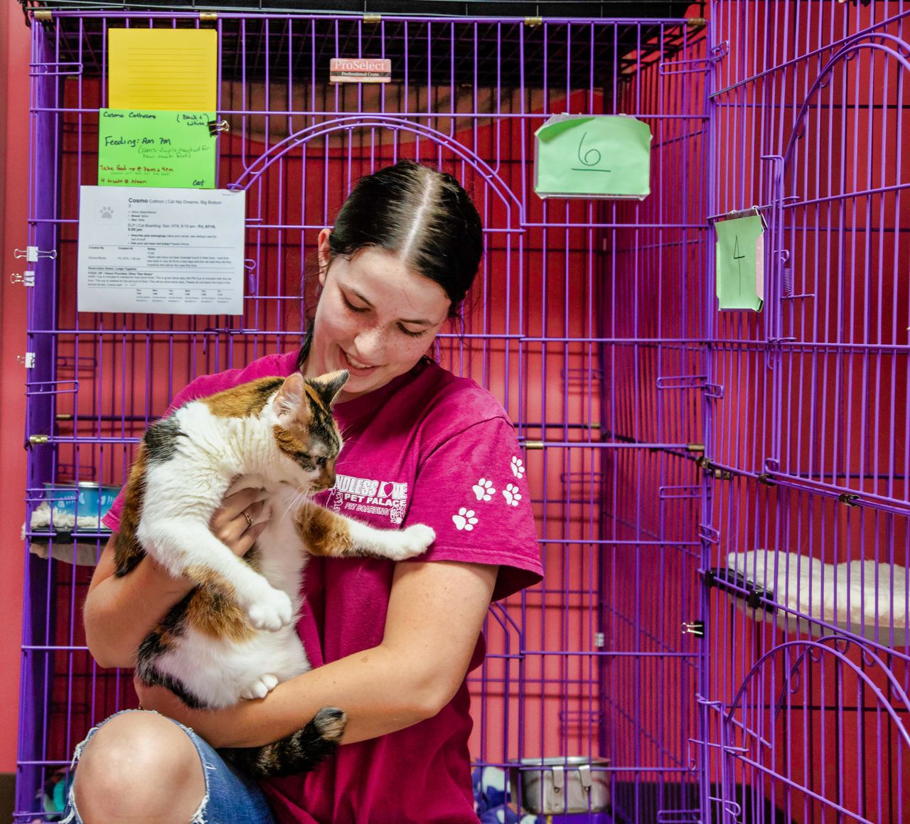 Endless Love Pet employee with cat