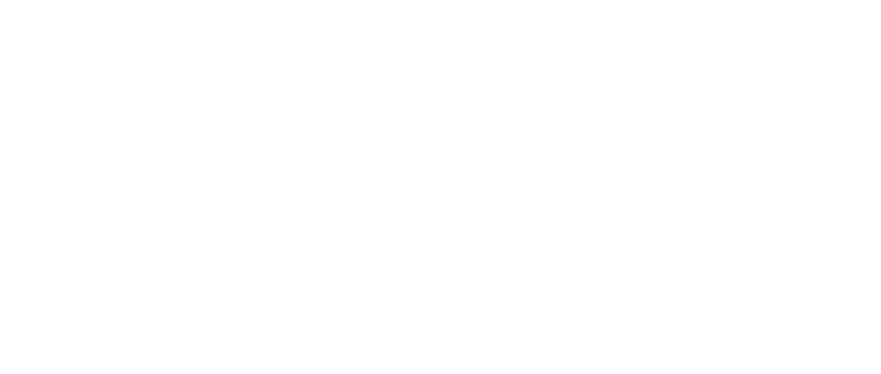 V.I.Pet Resort Logo