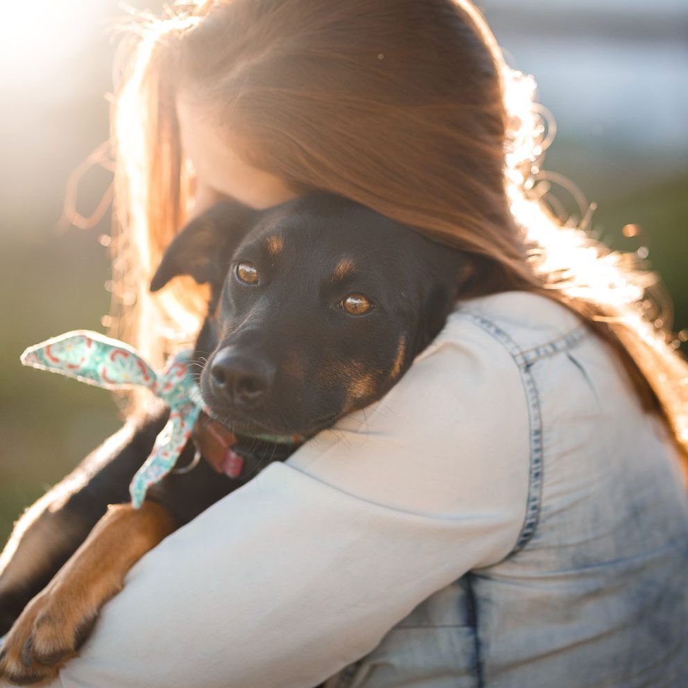 Young woman embracing a black and tan dog wearing a patterned bandana in the warm golden hour sunlight
