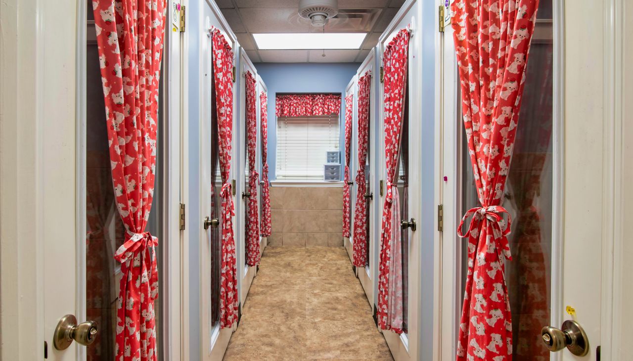 A hallway of indoor pet boarding suites featuring light blue walls and tan flooring, lined with white doors on both sides that have glass panels covered by tied-back, red patterned curtains