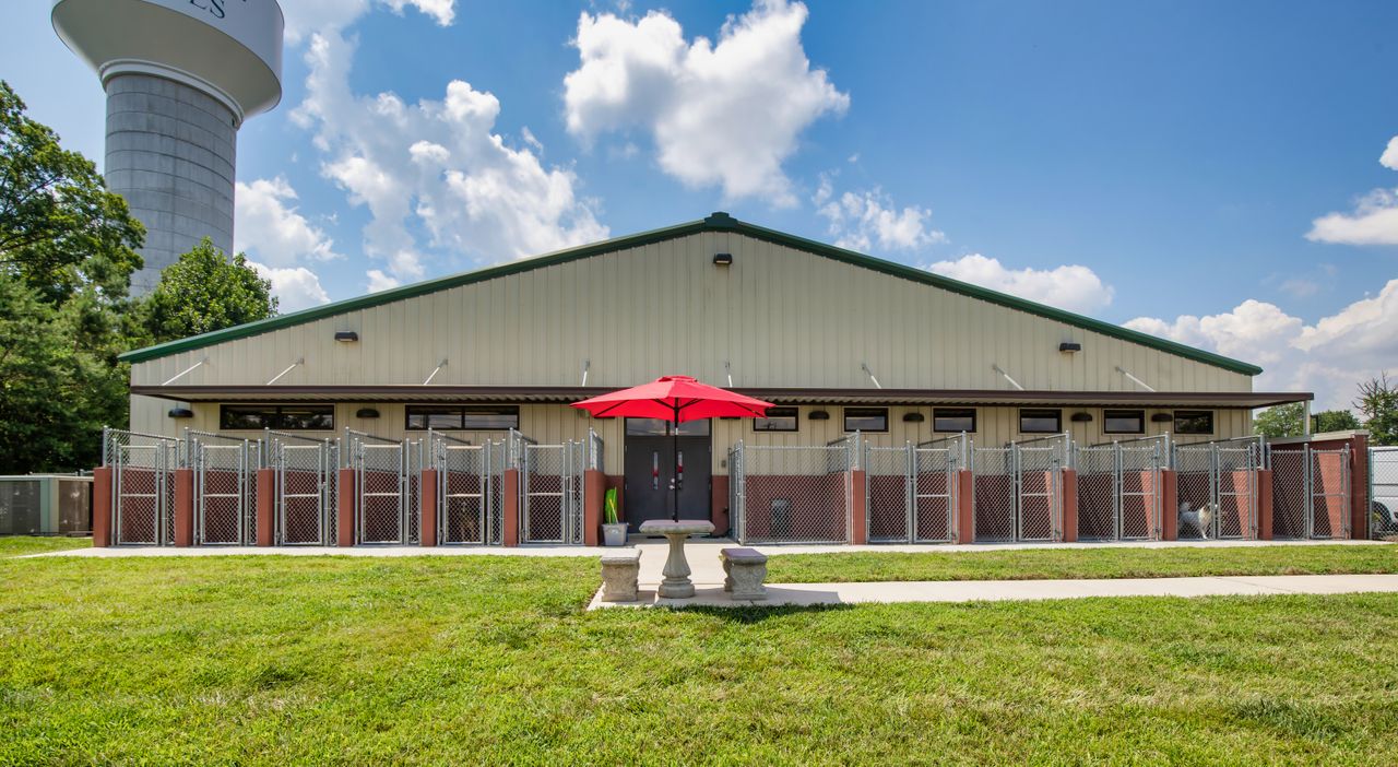 Club. Canine with a green roof, featuring multiple outdoor kennels and a red umbrella, set against a backdrop of trees and a water tower.