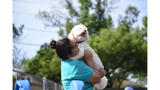 Dog daycare staff member hugging a happy white Bichon Frise mix in a sunny outdoor play yard