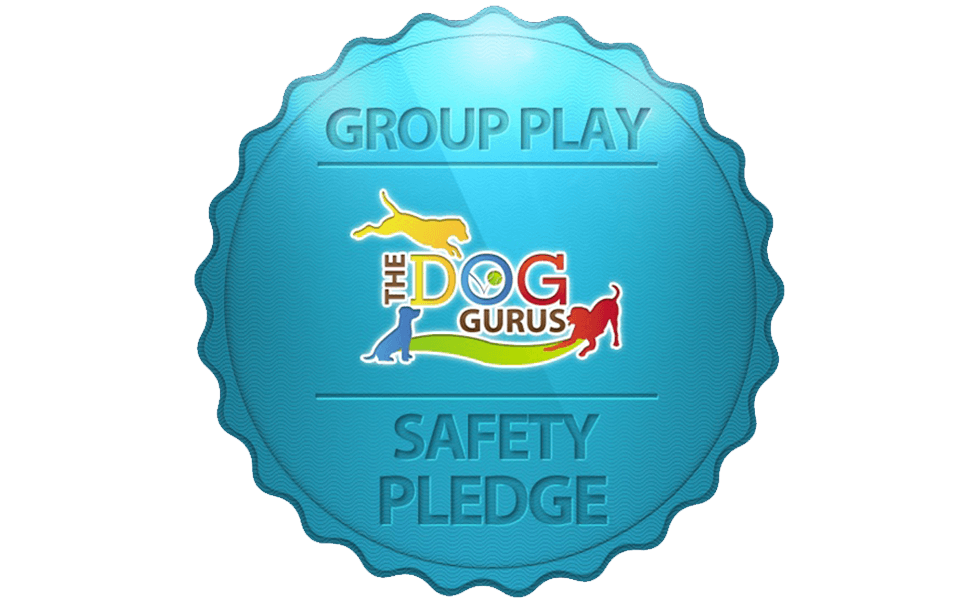 The Dog Gurus