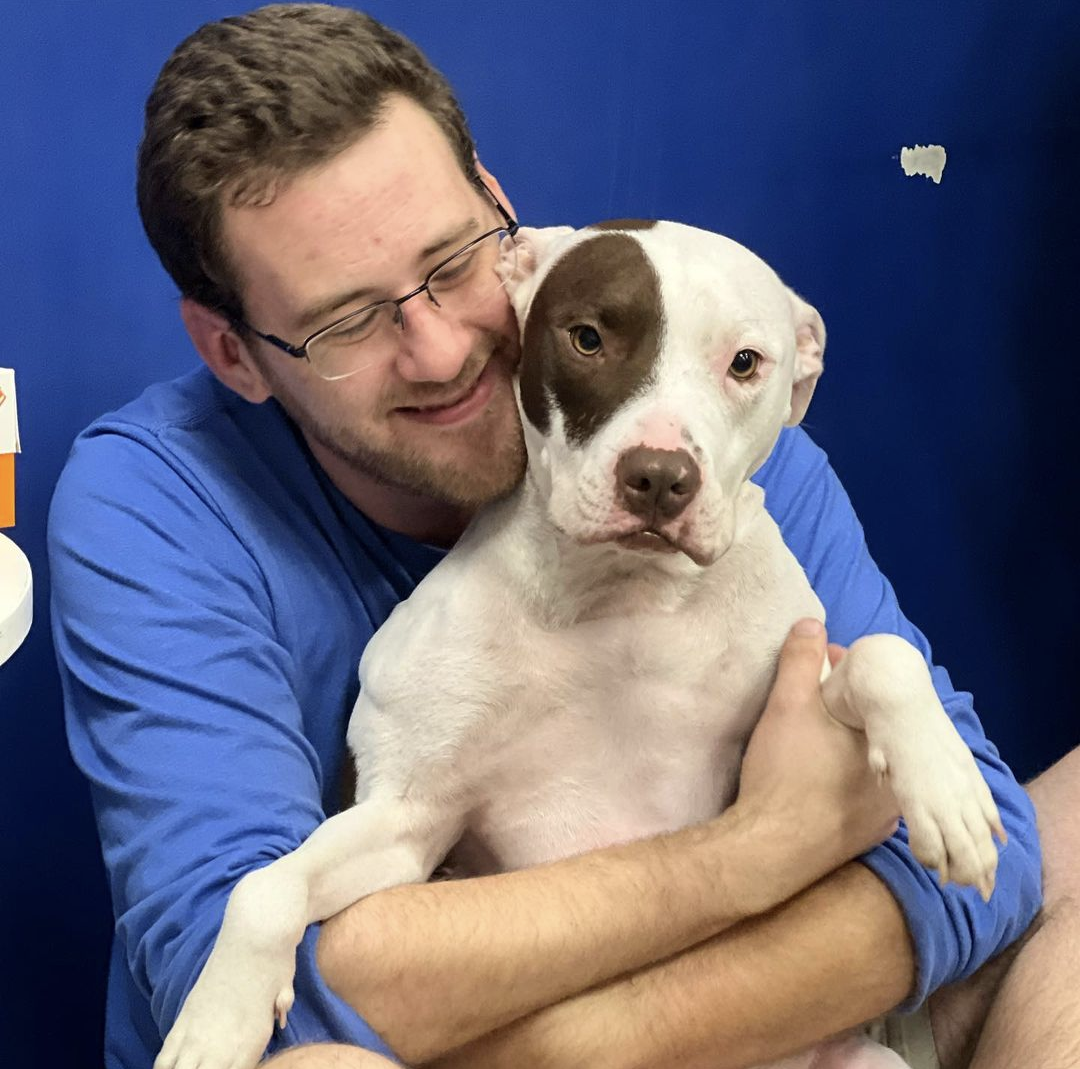 BowChicka Wow Town Daycare Attendant Daniel affectionately hugs a white dog with a brown patch over its right eye against a solid blue background