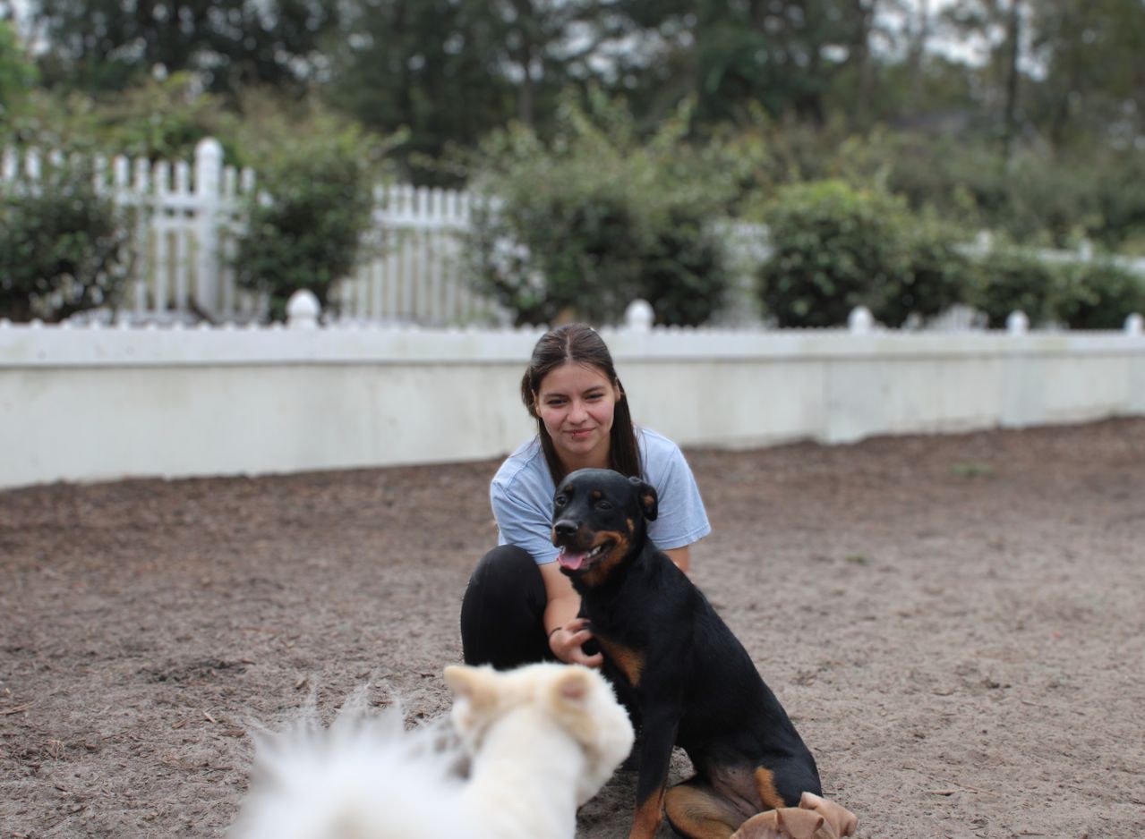 A woman smiling and petting a Rottweiler dog outdoors in a fenced play area, with another dog partially visible in the foreground.