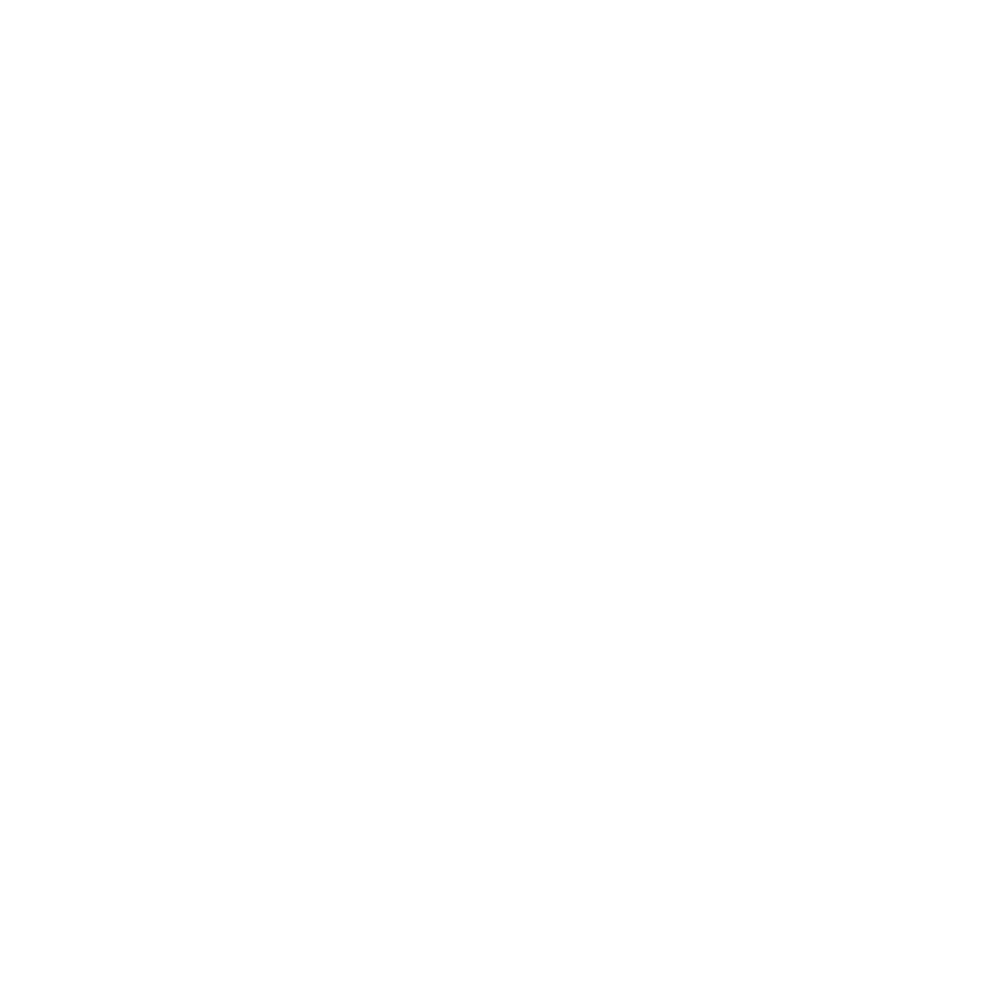 Norwichtown Pet Resort Logo