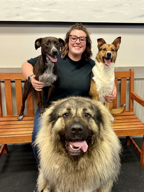 Emma General Manager surrounded by three happy dogs, including a large fluffy Caucasian Shepherd mix in front