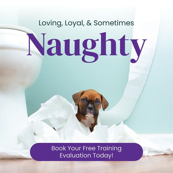 Book your free Training Evaluation today!