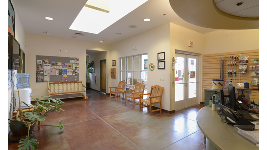 Interior view of a spacious clinic lobby with wooden chairs, a bulletin board, glass entrance doors, a skylight, and a rounded reception desk