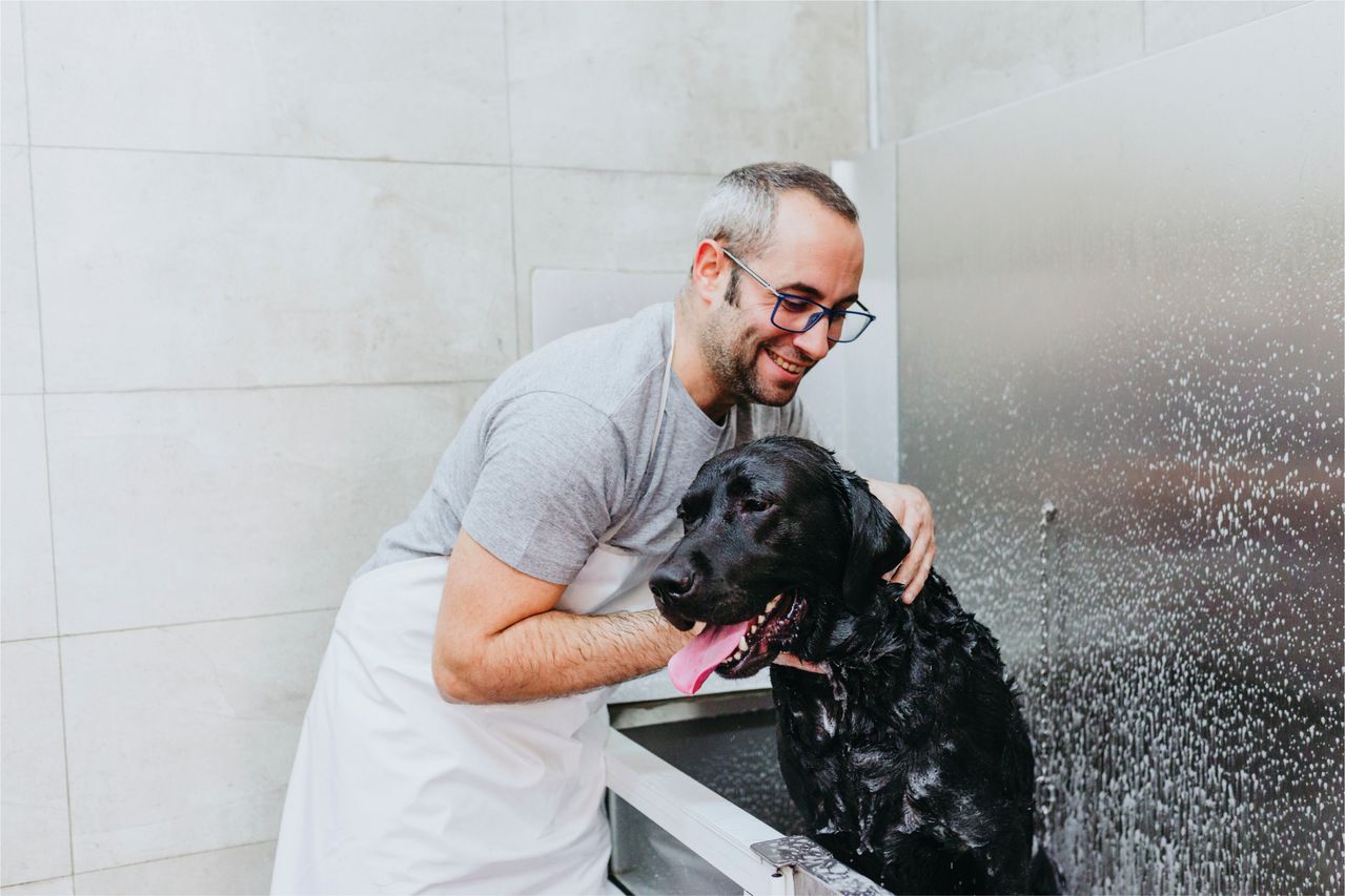 Groomer bathing black lab.