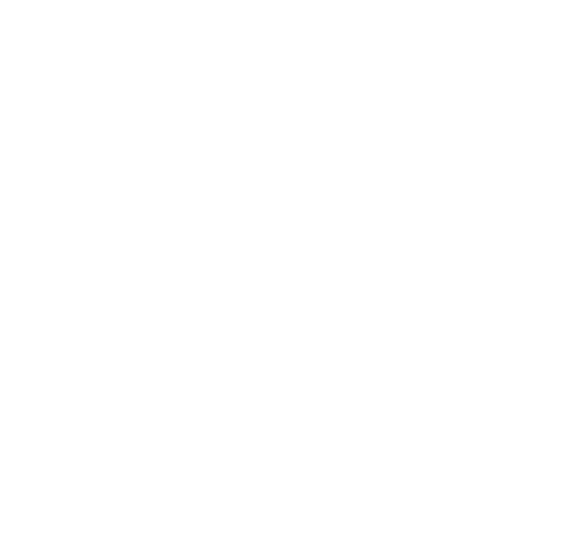 Holiday Pet Hotel Logo