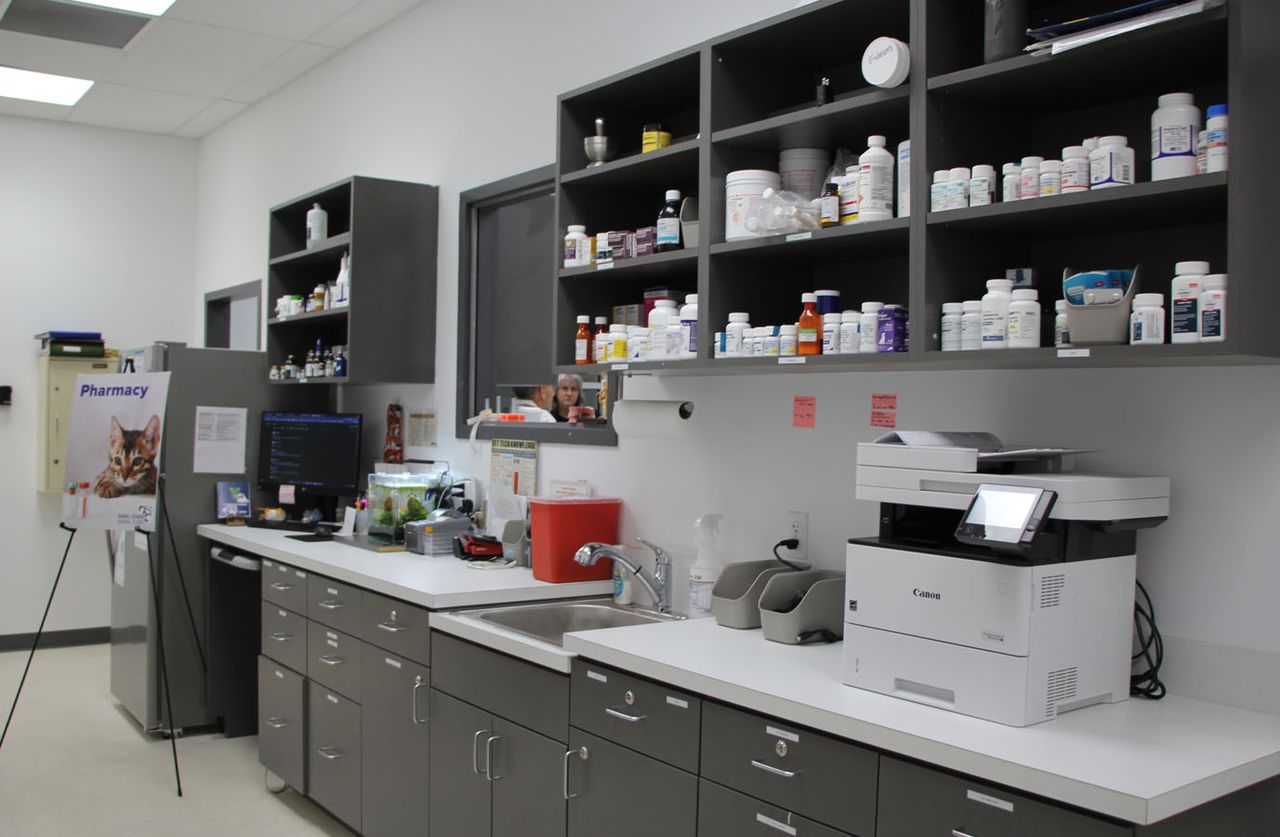 A well-stocked veterinary pharmacy with medication bottles on shelves, a printer, and a cat poster in the background.