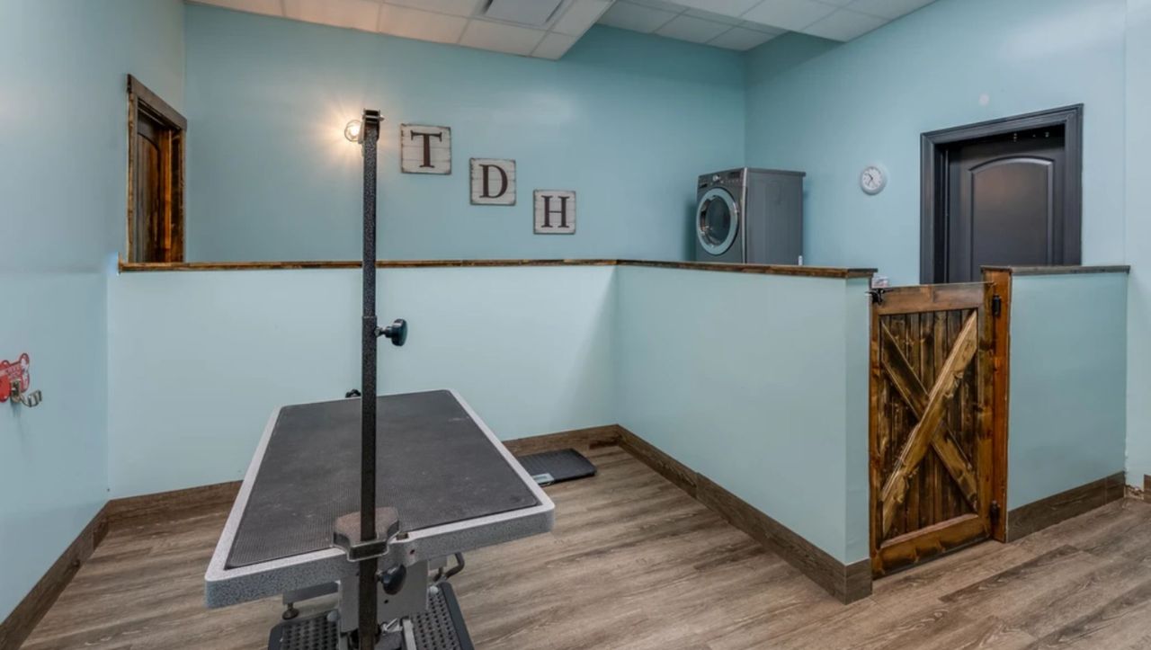 Grooming station with light blue walls, wood-style flooring, and a dark grooming table with an adjustable arm in the foreground. The back wall displays three decorative squares with the letters "T", "D", and "H", while a washing machine and a rustic wooden gate are visible in the background