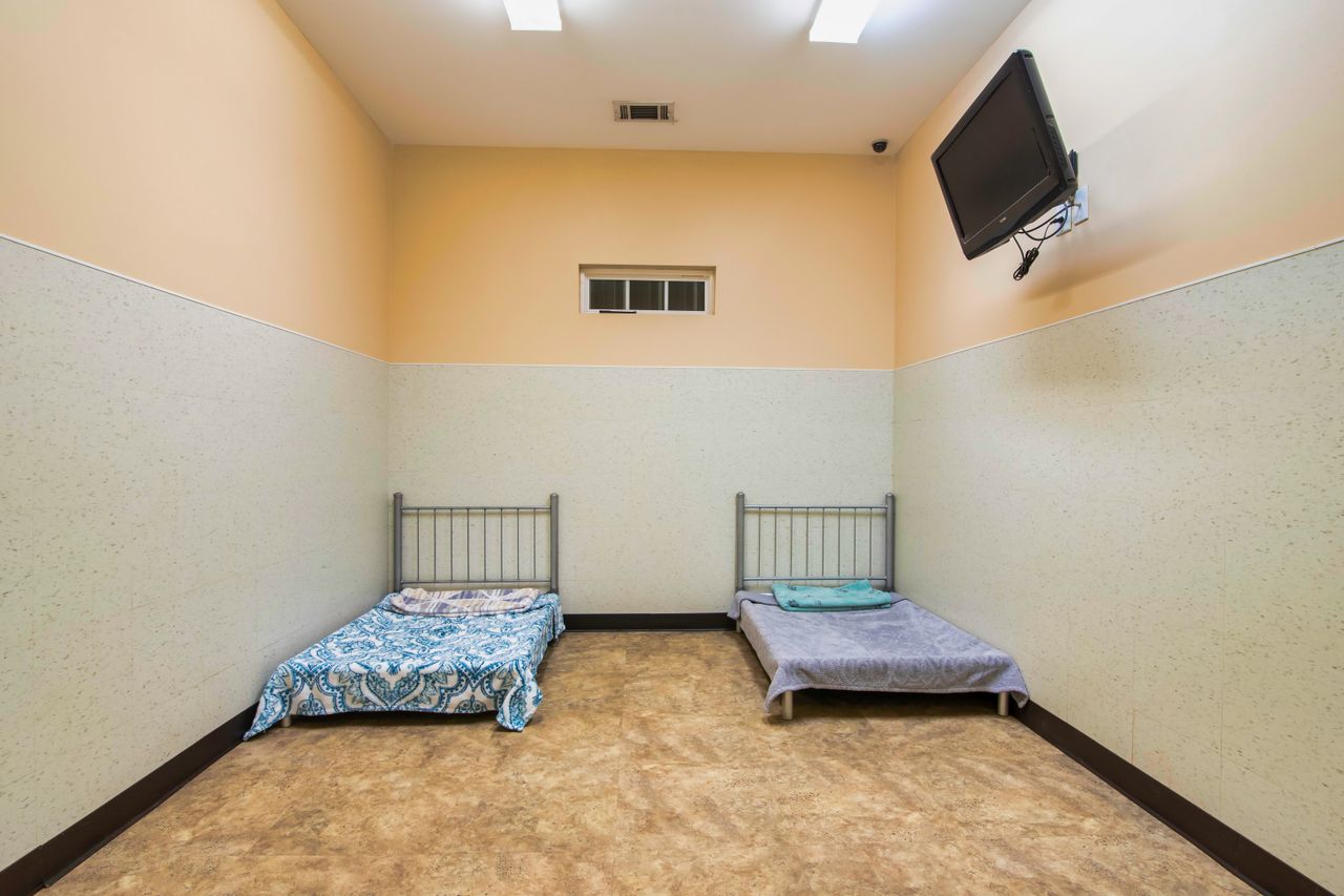 An indoor pet boarding suite with two-tone walls and brown flooring, featuring two small metal-framed beds with blankets, a small high window, and a flat-screen TV mounted in the corner