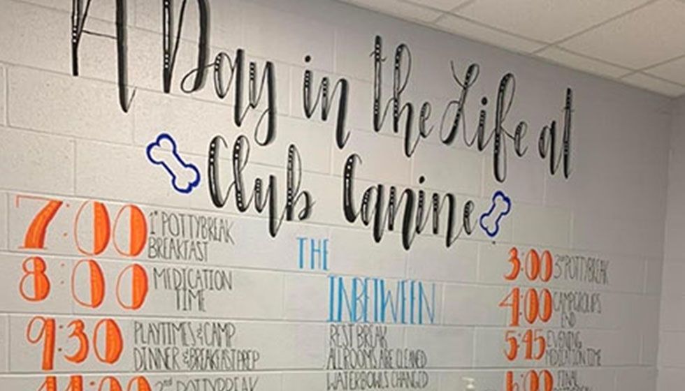 A daily schedule painted on a wall titled "A Day in the Life at Club Canine," listing times for potty breaks, meals, medication, and playtime