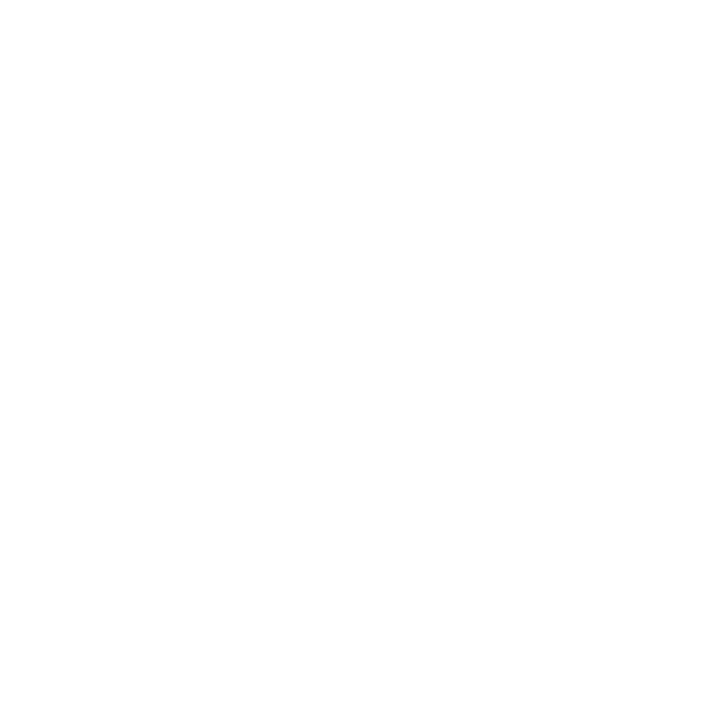 Petz Plaza Logo