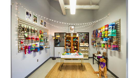 A well-lit pet boutique retail space with slatwall displays of dog toys and treats, string lights hanging overhead, and a central display table on a woven rug club canine shop