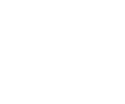 It's a Dog's Life