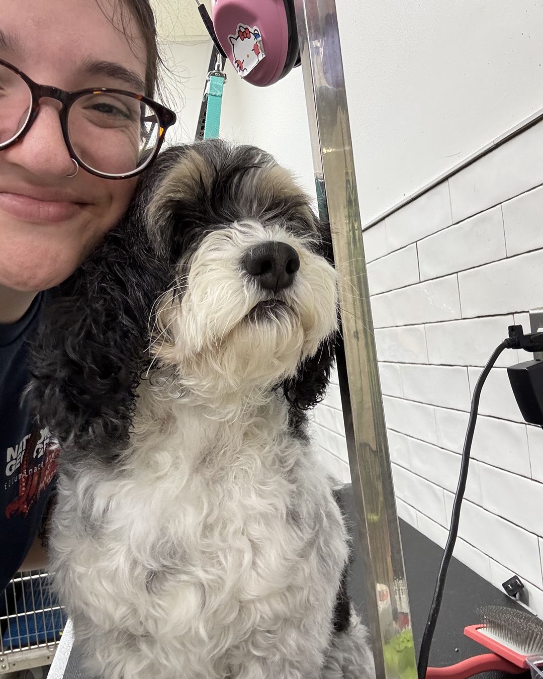 Groomer Sarah Noble with a fluffy black and white dog on a table at a dog grooming salon.