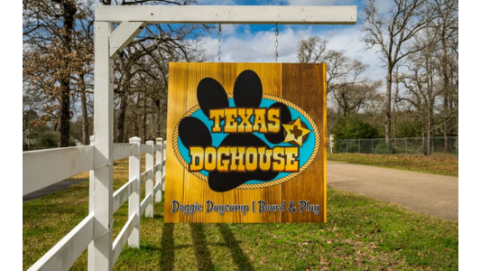 A hanging wooden outdoor sign for "Texas Doghouse Doggie Daycamp | Board & Play" featuring a large paw print logo mounted next to a white fence