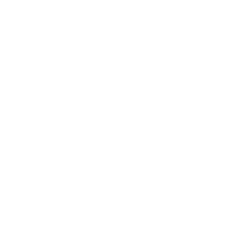 Lone Star Pet Lodges Logo