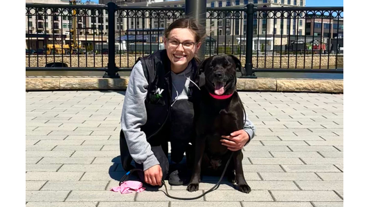 A smiling person wearing glasses, a grey hoodie, and a black vest kneels next to a black dog with a pink collar on a paved walkway. They are outdoors on a sunny day, with a black metal railing, a body of water, and city buildings in the background