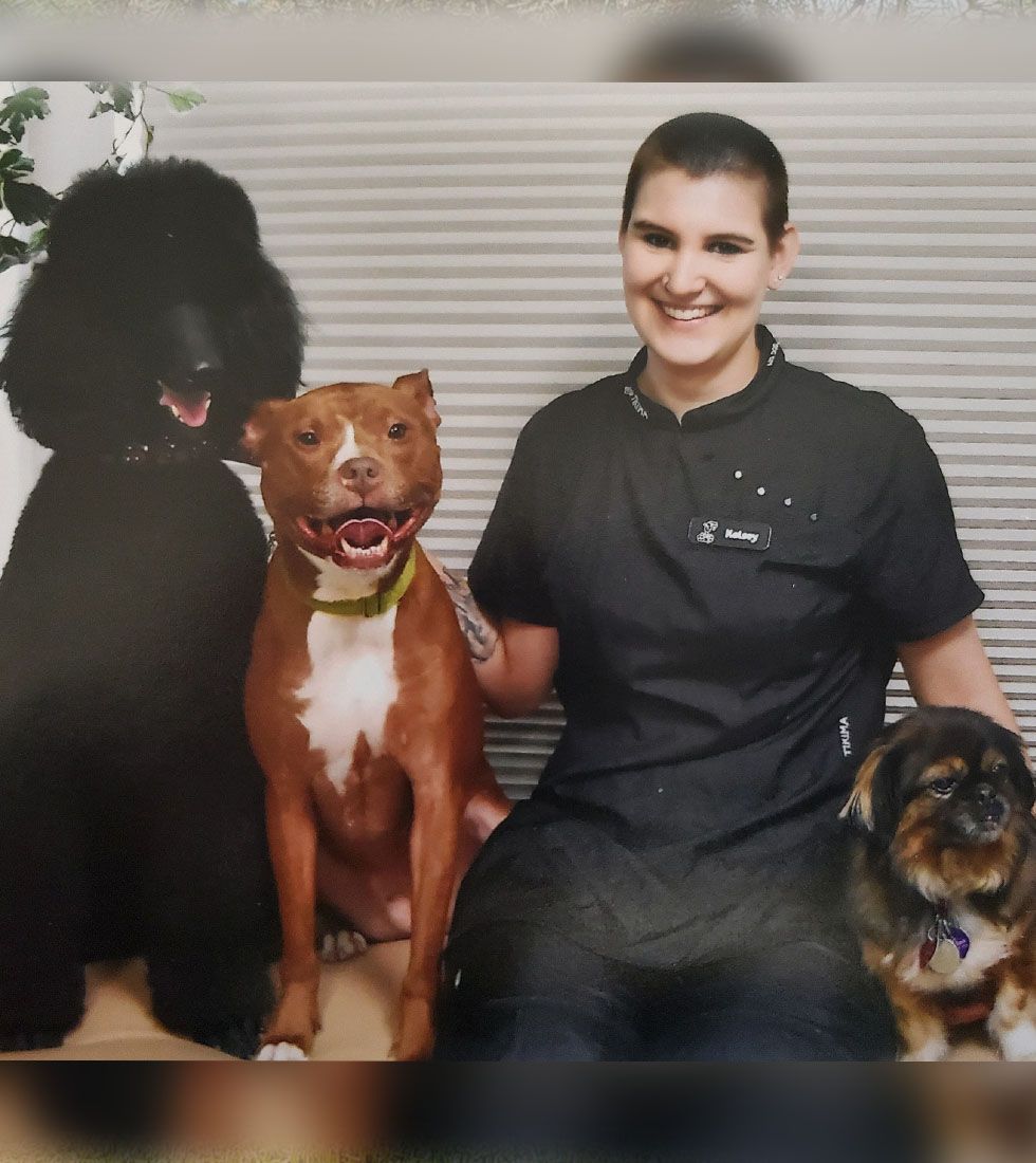 Kelsey -Groomer posing with three dogs: a tall black Standard Poodle, a reddish-brown Pit Bull mix, and a small brown and black dog