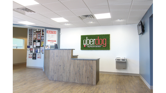 Uberdog front desk and reception area