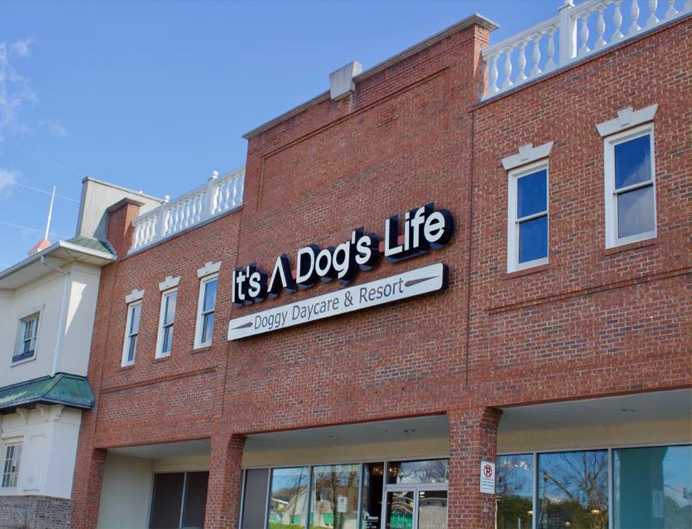 Its a Dog's Life Doggy Daycare and Resort entrance
